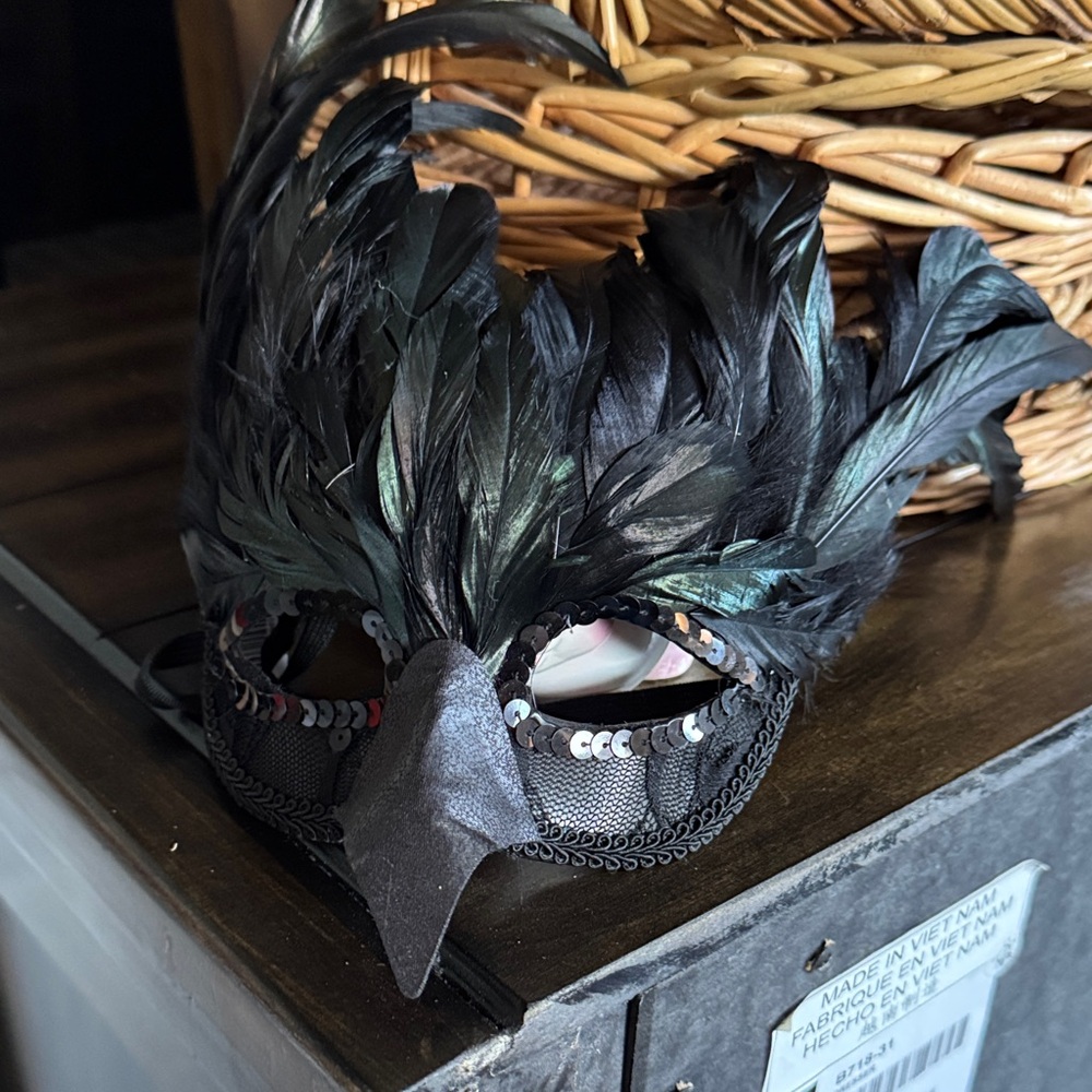 Spirit Black Feathered Mask